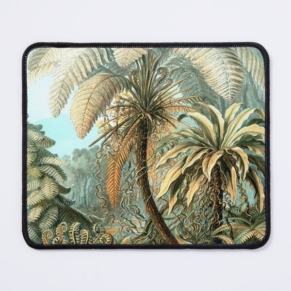 Item preview, Plate 93 Filicinae 1899 designed and sold by Gilmour-Prints.