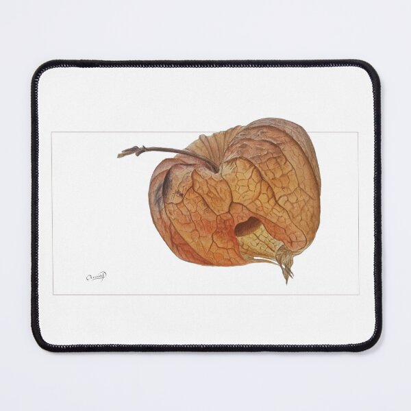 Item preview, Physalis: Heart of Autumn designed and sold by AnnaProninaArt.
