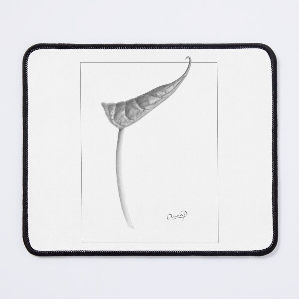 Item preview, Anthurium: Graphite Botanical Portrait designed and sold by AnnaProninaArt.