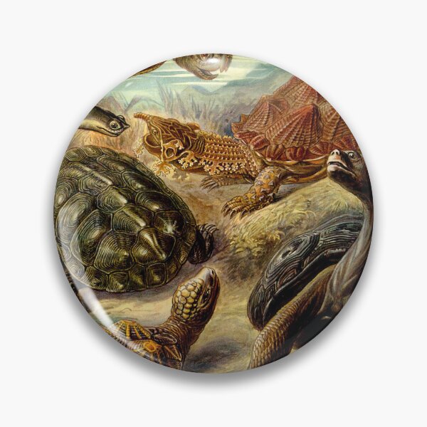 Item preview, Plate 90 Chelonia 1899 designed and sold by Gilmour-Prints.