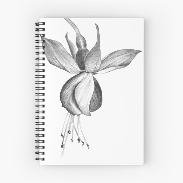 Item preview, Fuchsia: Botanical Graphite Drawing designed and sold by AnnaProninaArt.