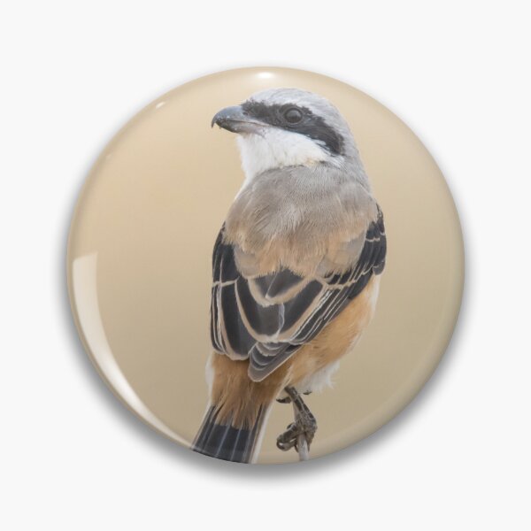 Item preview, Long Tailed Shrike designed and sold by LaurenTucker.