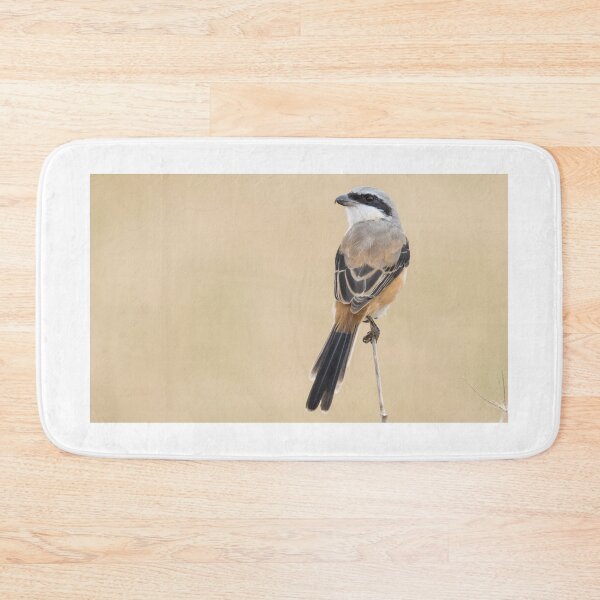 Item preview, Long Tailed Shrike designed and sold by LaurenTucker.
