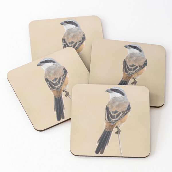 Item preview, Long Tailed Shrike designed and sold by LaurenTucker.