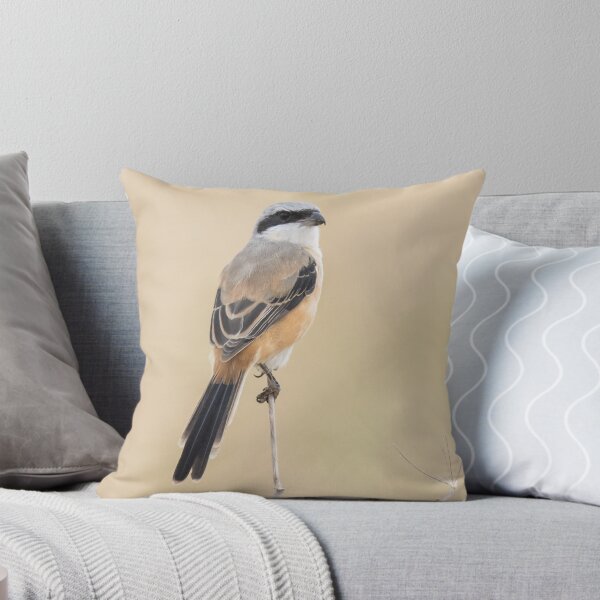 Item preview, Long Tailed Shrike designed and sold by LaurenTucker.