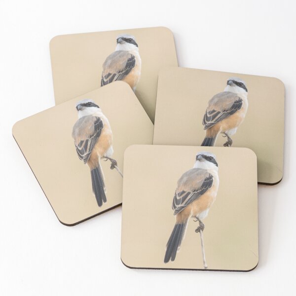 Item preview, Long Tailed Shrike designed and sold by LaurenTucker.