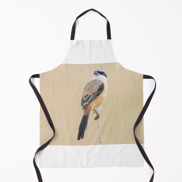 Item preview, Long Tailed Shrike designed and sold by LaurenTucker.