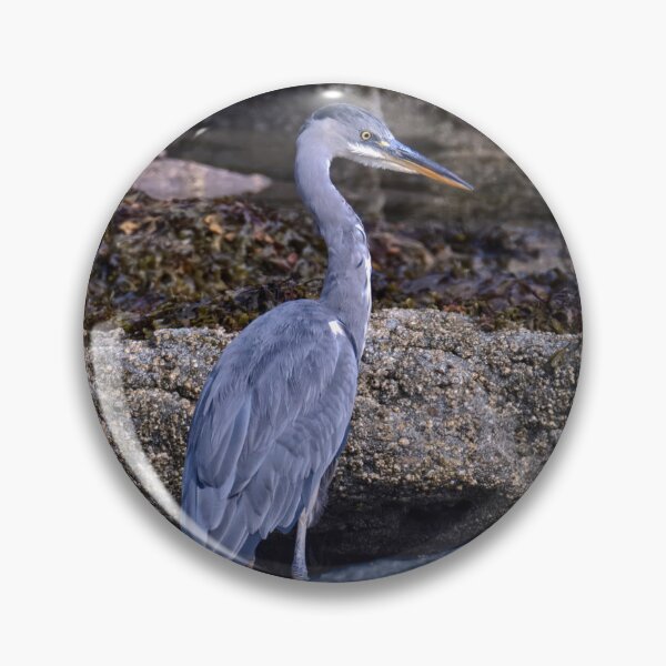 Item preview, The grey heron designed and sold by Tom McPherson Photography.