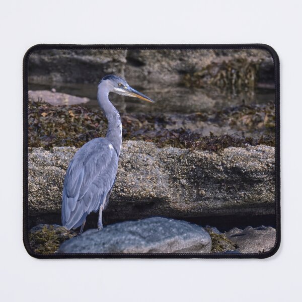 Item preview, The grey heron designed and sold by Tom McPherson Photography.
