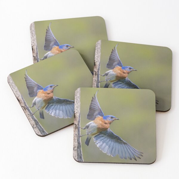 Item preview, Eastern Bluebird leaving Nest Hole designed and sold by Gerard Fornarotto.