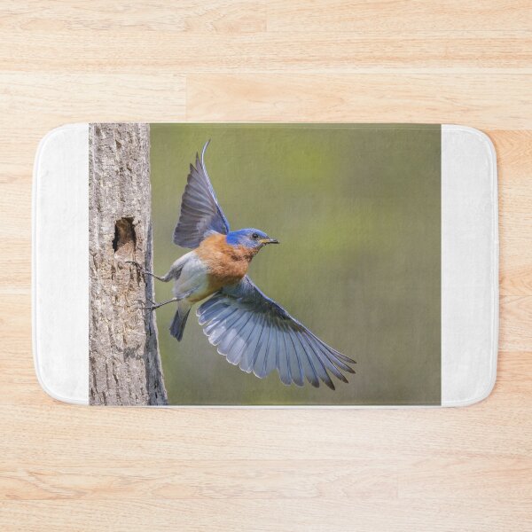 Item preview, Eastern Bluebird leaving Nest Hole designed and sold by Gerard Fornarotto.
