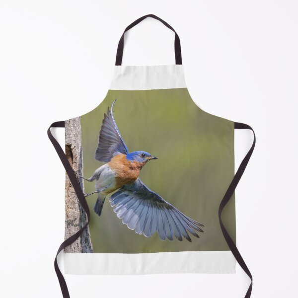 Item preview, Eastern Bluebird leaving Nest Hole designed and sold by Gerard Fornarotto.