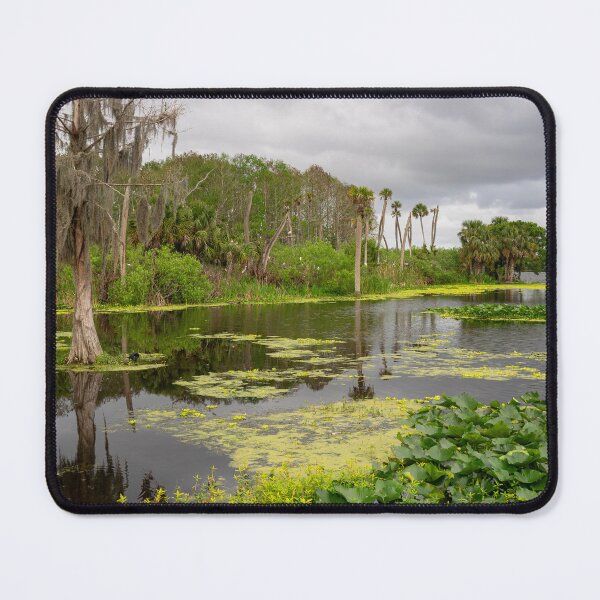 Item preview, Wetland designed and sold by Alla Gill.