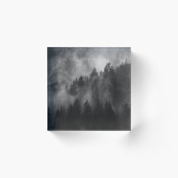 Misty Fir Trees Acrylic Block