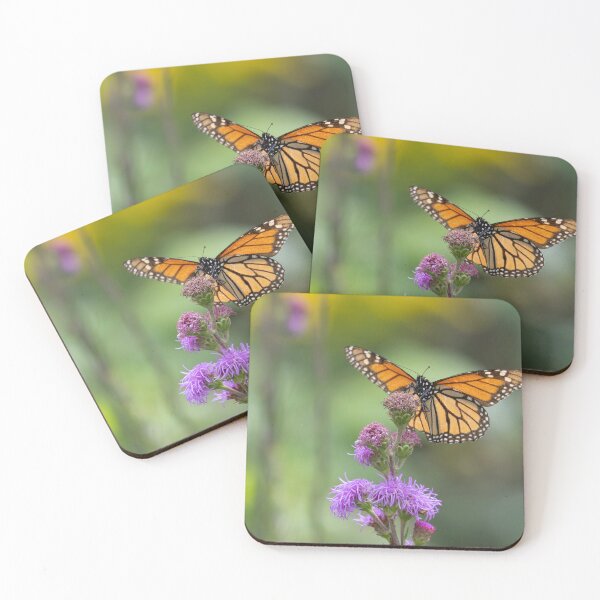 Item preview, Monarch on Meadow Blazing Star 8-18-2026 designed and sold by Thomasyoung.