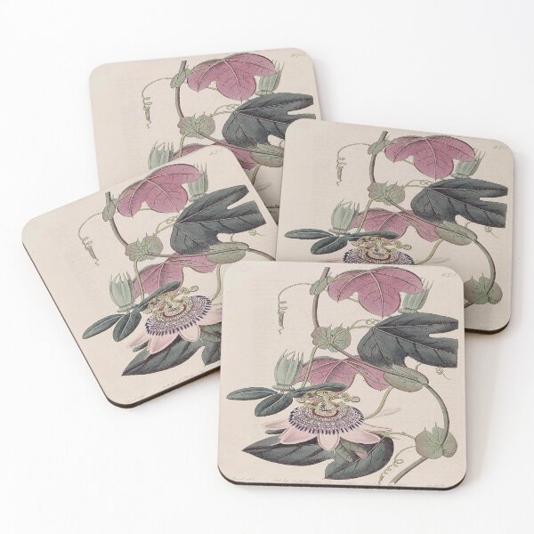 Item preview, Vintage Passion Flower Botanical Illustration designed and sold by historicalpicss.