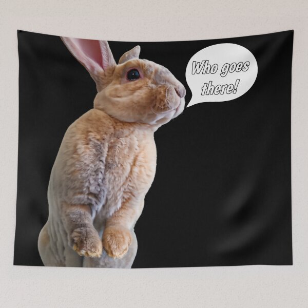 Item preview, Who goes there designed and sold by YHWH Photography.