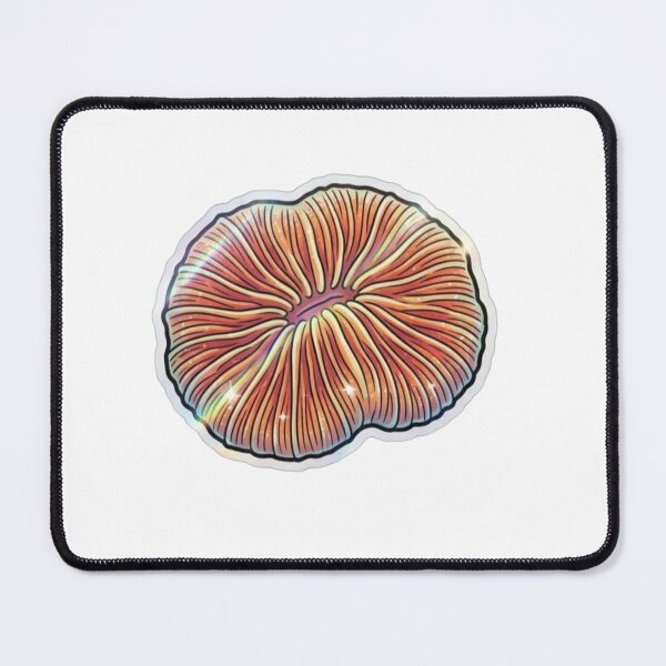 Item preview, Scolymia Coral Orange Rainbow Reef Aquarium Art designed and sold by KenworksDigital.