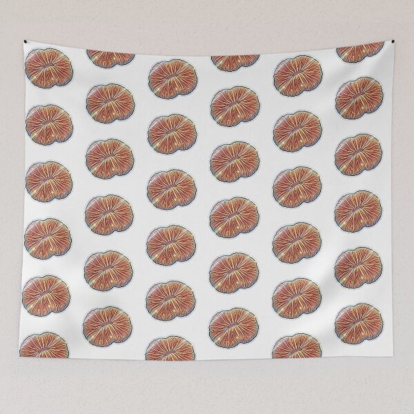 Item preview, Scolymia Coral Orange Rainbow Reef Aquarium Art designed and sold by KenworksDigital.