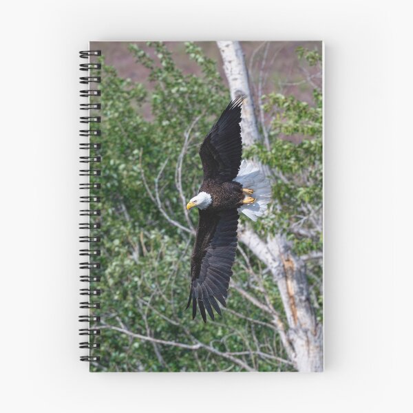 Item preview, On Edge Right designed and sold by DawsonImages.