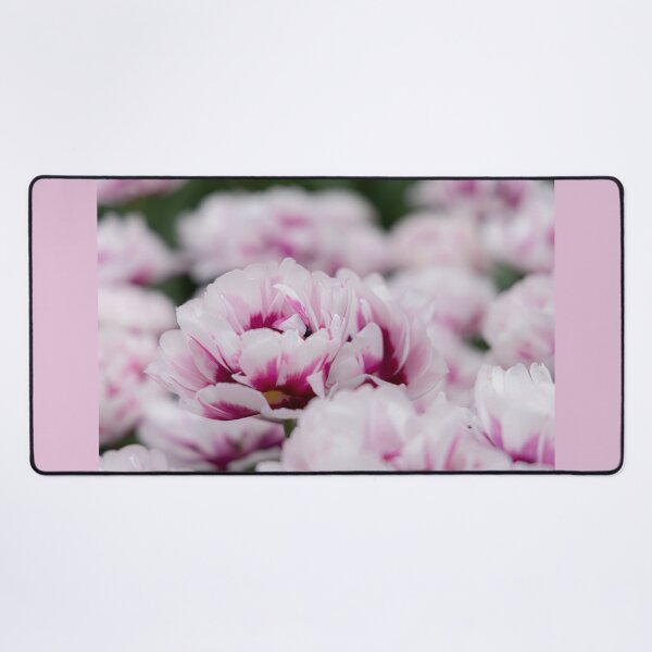 Item preview, Pink beauty designed and sold by Mutezone.