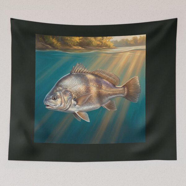 Item preview, Freshwater Drum Illustration – Freshwater Legends Fishing Art designed and sold by Northbound Trail.