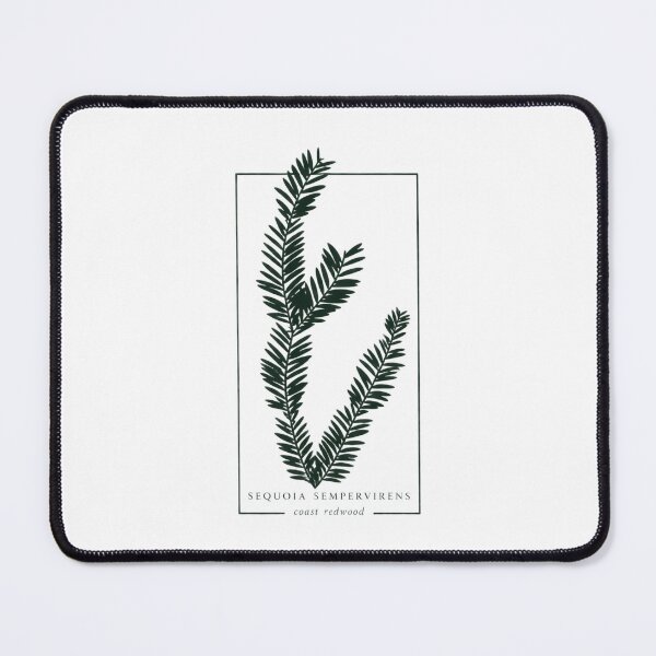 Item preview, California Redwood Botanical – Original Cyanotype Art designed and sold by The Snarky Ph.D.: A Study in Botanicals .
