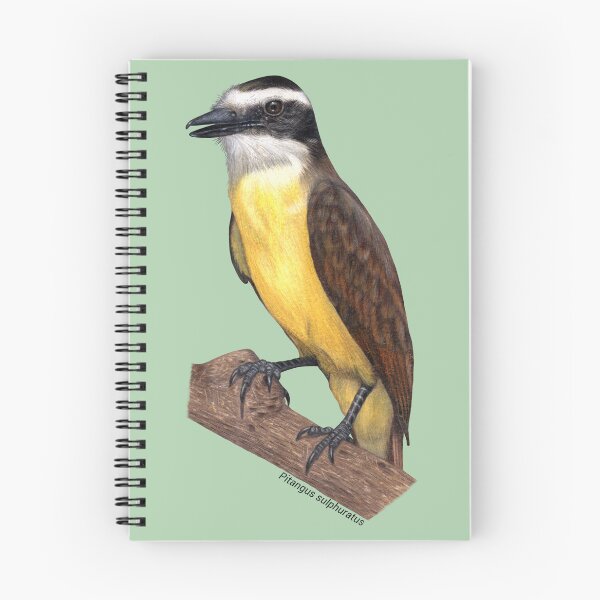 Item preview, Great Kiskadee Bird - Realistic Colored Pencil Art designed and sold by Juliana  Costa.
