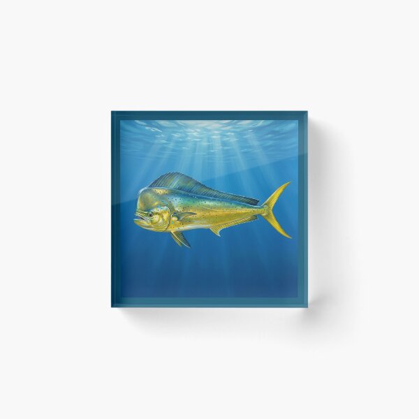 Item preview, Mahi-Mahi Illustration – Saltwater Legends Fishing Art designed and sold by Northbound Trail.