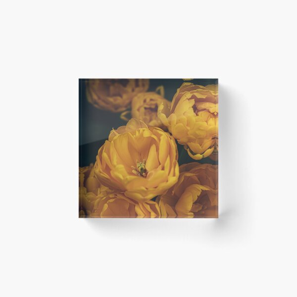 Item preview, Golden tulips designed and sold by Mutezone.