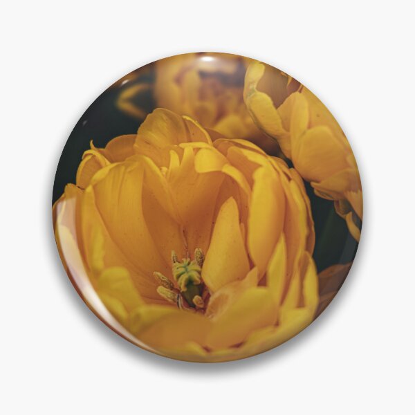 Item preview, Golden tulips designed and sold by Mutezone.