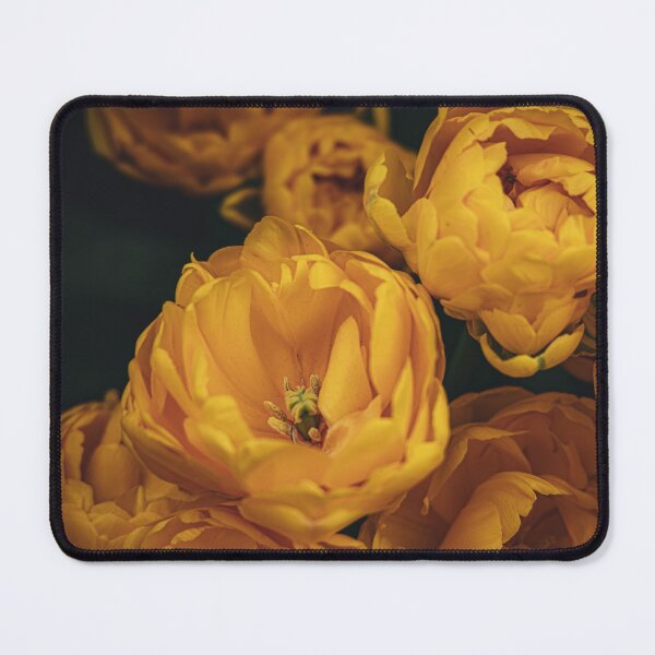 Item preview, Golden tulips designed and sold by Mutezone.