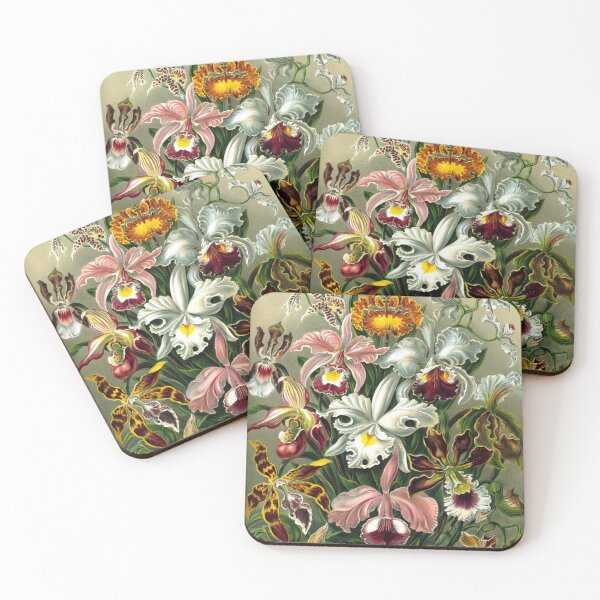 Item preview, Ernst Haeckel Orchidae 1899 designed and sold by Gilmour-Prints.