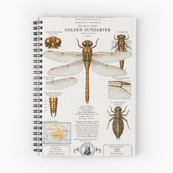 Item preview, The Golden Sundarter Dragonfly designed and sold by LegendaryDave1.