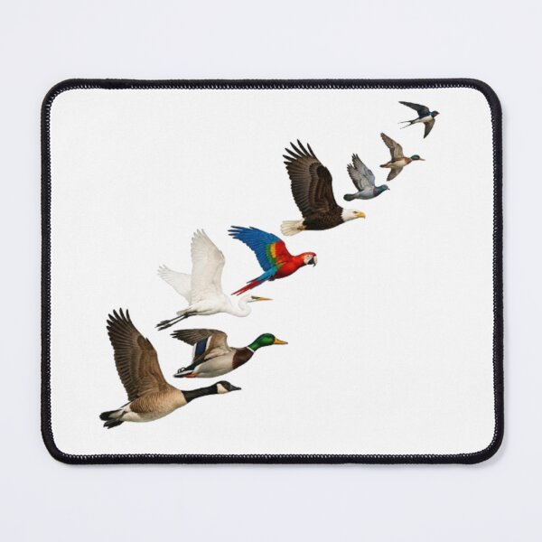 Item preview, Flock of Diverse Flying Birds in Migration designed and sold by Snurly.