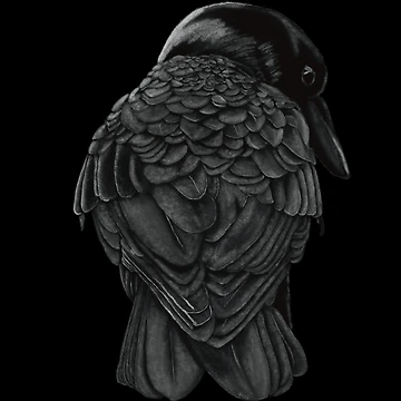 Artwork thumbnail, Crow by BugCreative