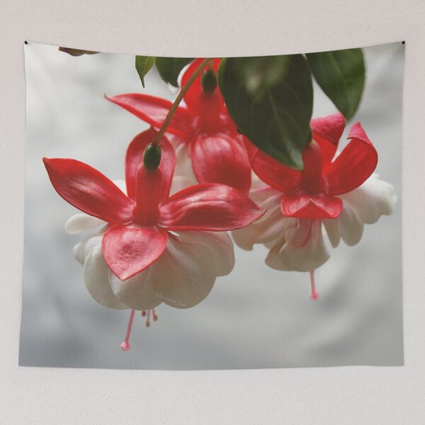 Item preview, Fuchsia ~ Hanging Over the Lake designed and sold by SummerJade.