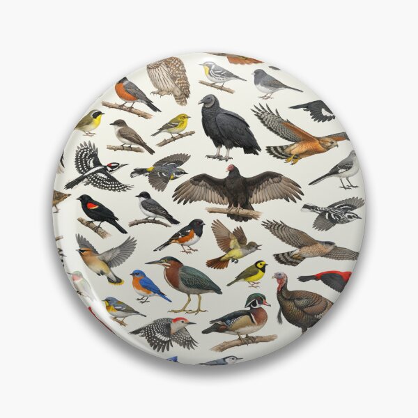 Item preview, Native Birds of Virginia Retro Identification Chart designed and sold by kakarikihill.