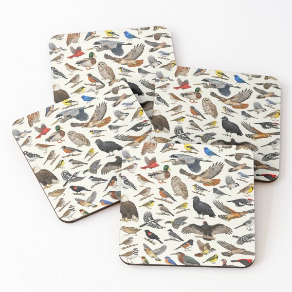Item preview, Native Birds of Virginia Retro Identification Chart designed and sold by kakarikihill.