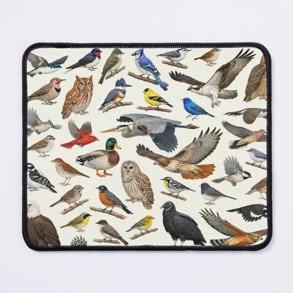 Item preview, Native Birds of Virginia Retro Identification Chart designed and sold by kakarikihill.