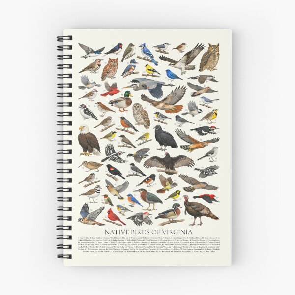 Item preview, Native Birds of Virginia Retro Identification Chart designed and sold by kakarikihill.