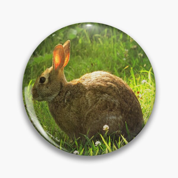 Item preview, Wild Bunny ~ In a Patch of Clover designed and sold by SummerJade.
