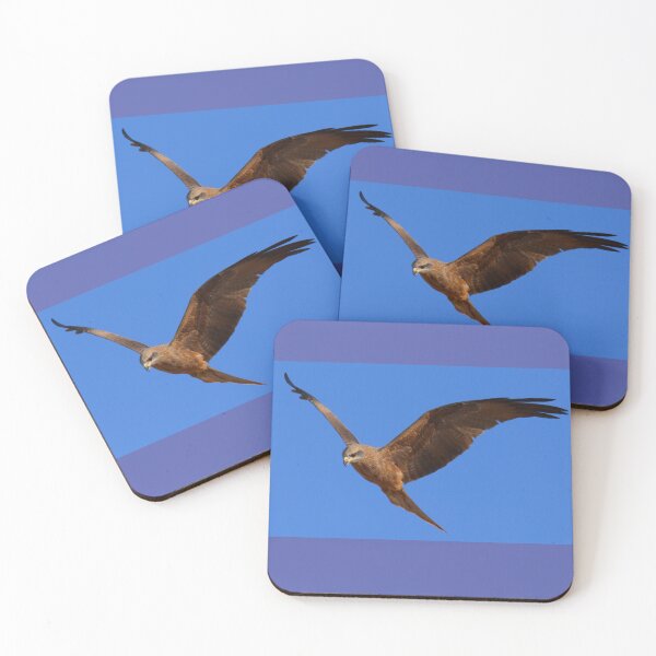 Item preview, Black Kite in flight looking for lunch designed and sold by BirdsAlive.