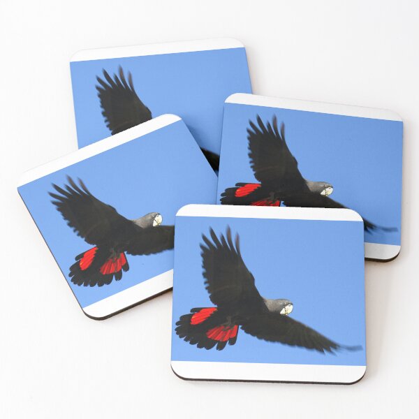 Item preview, Red-tailed Black Cockatoo in flight designed and sold by BirdsAlive.