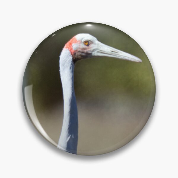 Item preview, Brolga keeping an eye out designed and sold by BirdsAlive.