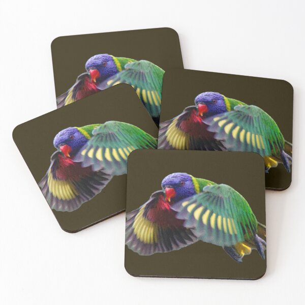 Item preview, Rainbow Lorikeet in Flight, black background designed and sold by BirdsAlive.