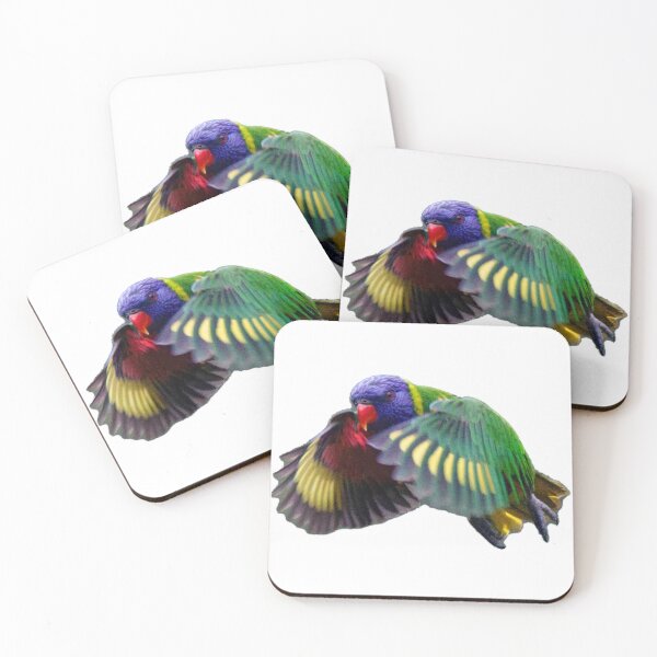 Item preview, Rainbow Lorikeet in Flight, white background designed and sold by BirdsAlive.