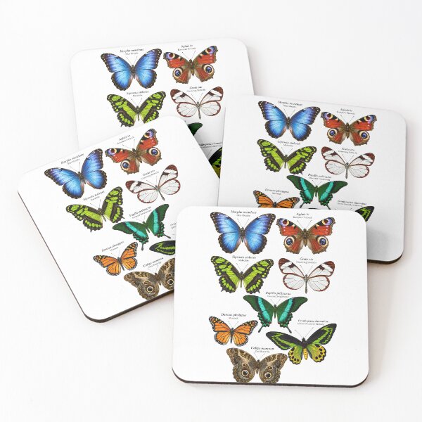 Item preview, Beautiful Butterflies Scientific Illustration | Vintage Butterfly Chart 8 Exotic Species Entomology designed and sold by Extravanganzza.