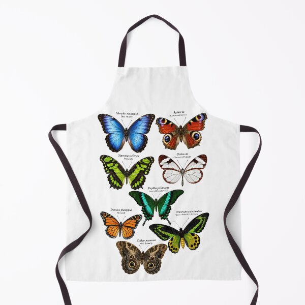 Item preview, Beautiful Butterflies Scientific Illustration | Vintage Butterfly Chart 8 Exotic Species Entomology designed and sold by Extravanganzza.