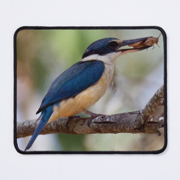 Item preview, Kingfisher has caught a grasshopper for a snack designed and sold by BirdsAlive.
